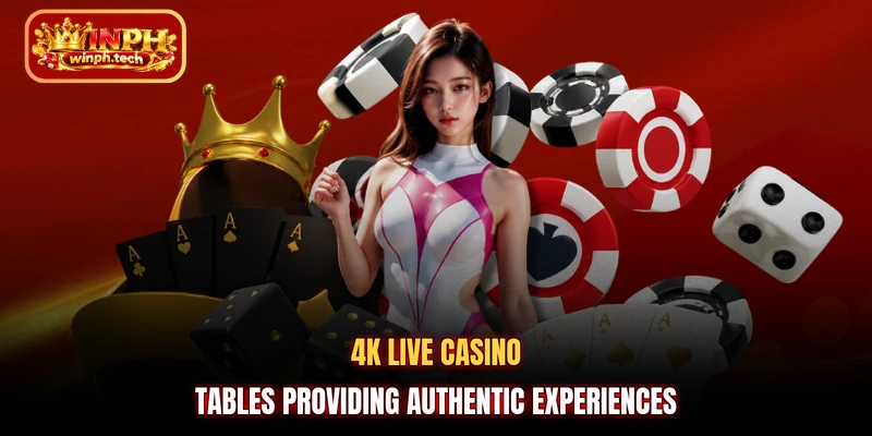 4K live casino tables providing authentic experiences